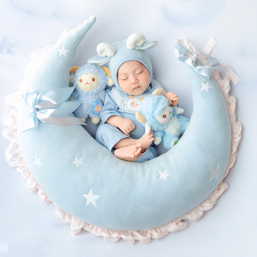 かわいい羊の新生児写真撮影用小道具セット 月型ポーズ枕 子羊 - Infant Photography Props Outfit のレビューと価格